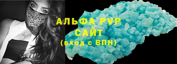 стафф Касимов