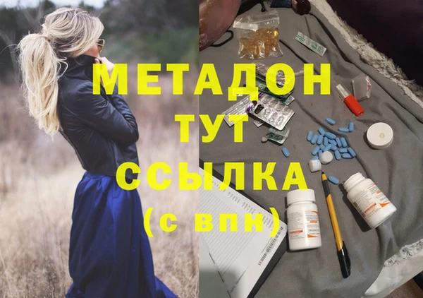 стафф Касимов