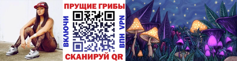 Купить где  Поворино  Псилоцибиновые грибы Magic Shrooms 